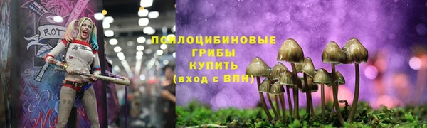МДПВ Абаза