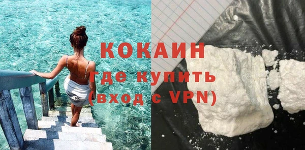 соль ск Пересвет