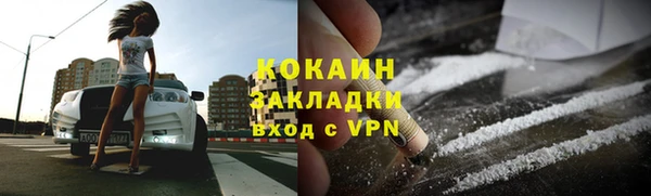 соль ск Пересвет