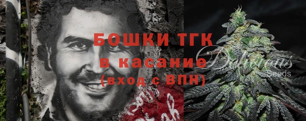 шишки Абинск