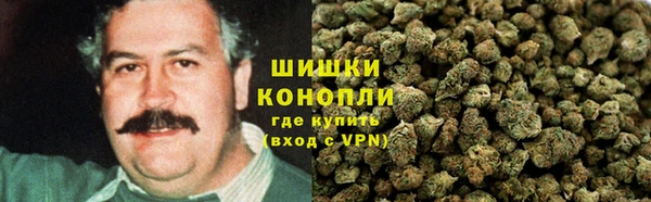 шишки Абинск
